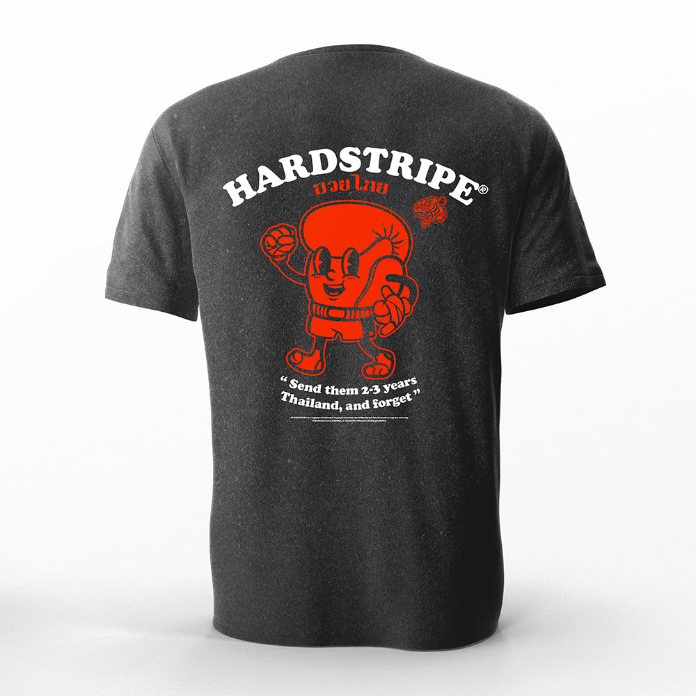 2-3 Years in Thailand Tee's